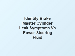 Differentiating Brake Fluid Leaks From Power Steering Fluid Leaks