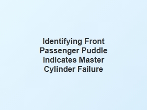 Identifying Passenger Puddle as Master Cylinder Failure