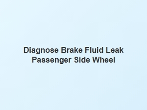 Diagnosing a Passenger Side Wheel Brake Fluid Leak
