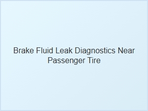 Diagnosing a Brake Fluid Leak Near the Passenger Tire